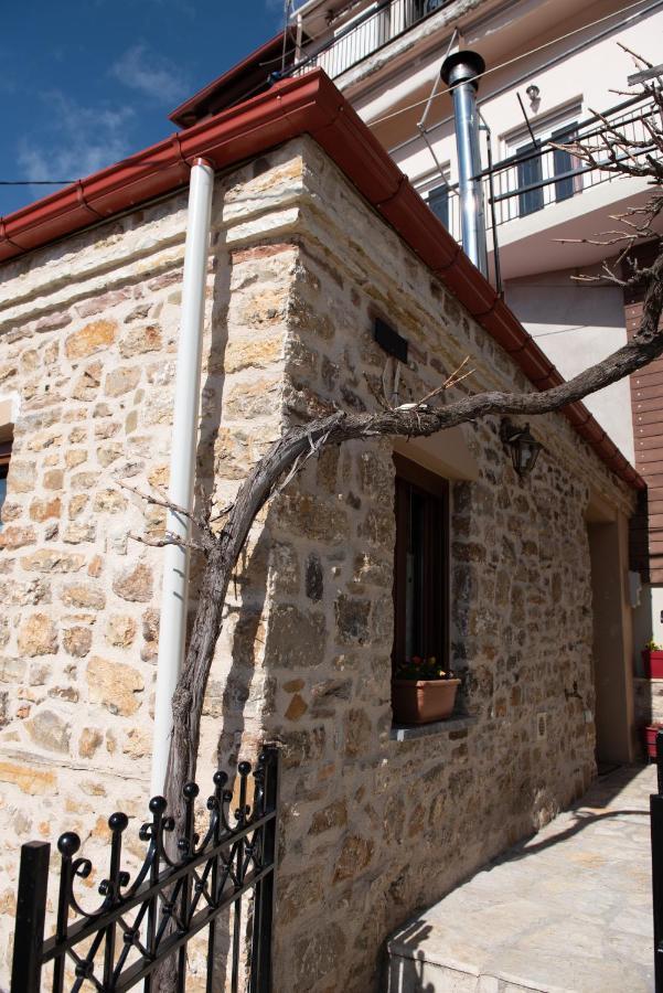 דירות קרפניסיון Το Πέτρινο Της Γιαγιάς Μαρίκας מראה חיצוני תמונה